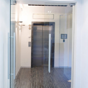 Безрамная противопожарная дверь / серия FRM7540